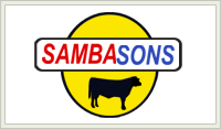/uploads/a8/5d/a85d4f2494f7228bbbce4882e10e7fa0/sambasons.png